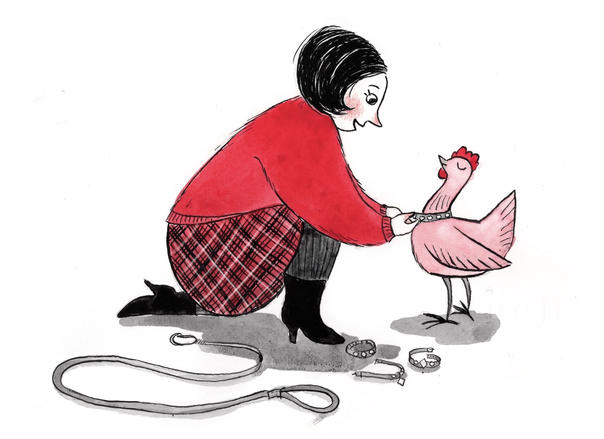Black and white and red illustration of a woman putting a collar on a chicken, like she is getting ready to take her for a walk. There is a leash at their feet.